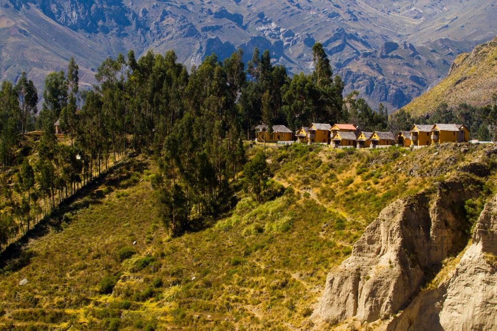 Eco Inn Colca Yanque 外观 照片
