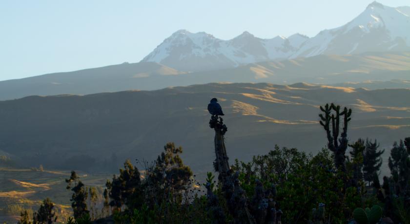 Eco Inn Colca Yanque 外观 照片