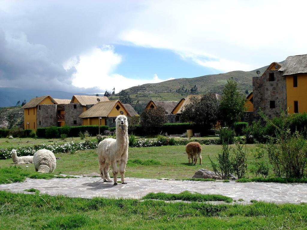 Eco Inn Colca Yanque 外观 照片